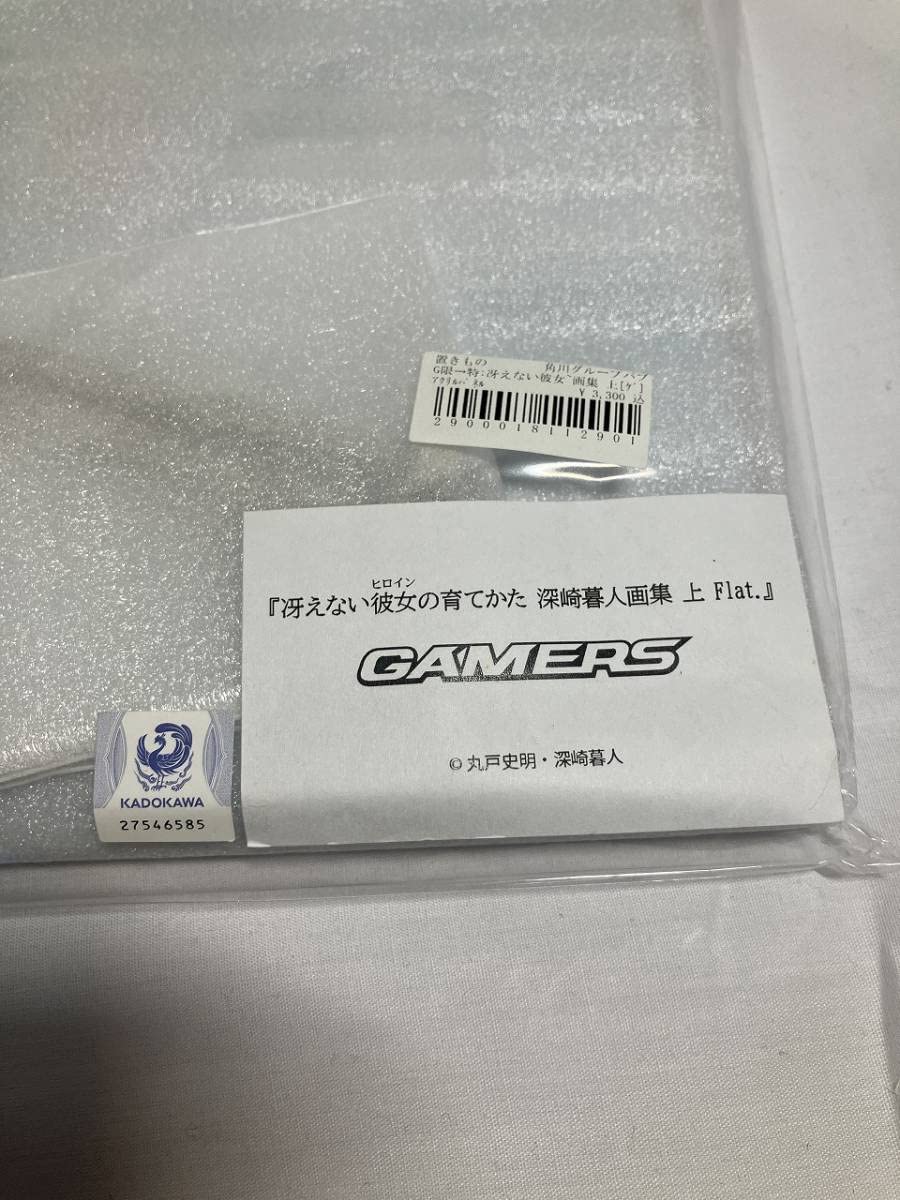 新品未開封 冴えない彼女の育てかた 深崎暮人画集 上 Flat. ゲーマーズ 冴えない彼女の育てかた 深崎暮人画集(上) Flat. 中古本・書籍